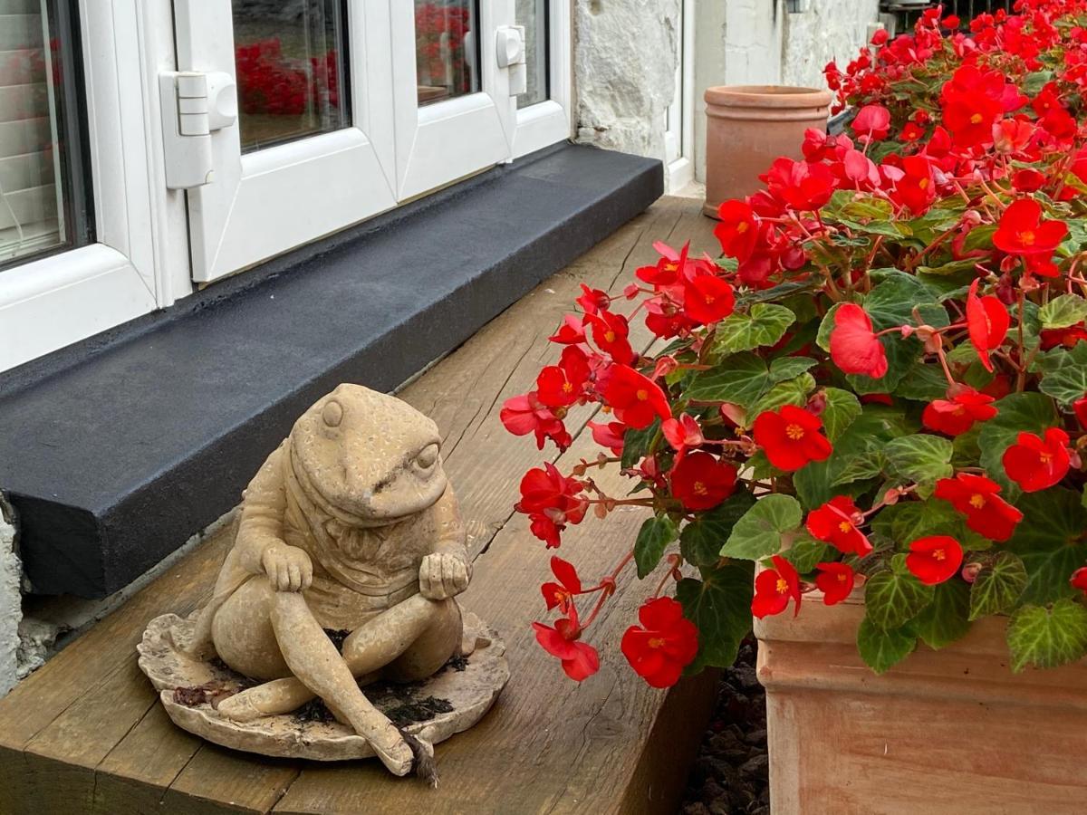 Toadhall Rooms Muchalls Экстерьер фото