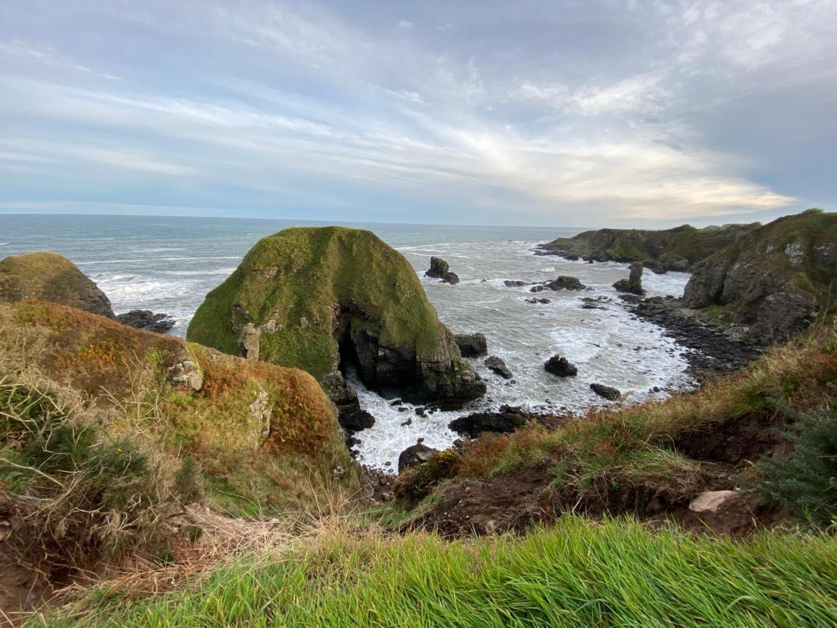 Toadhall Rooms Muchalls Экстерьер фото